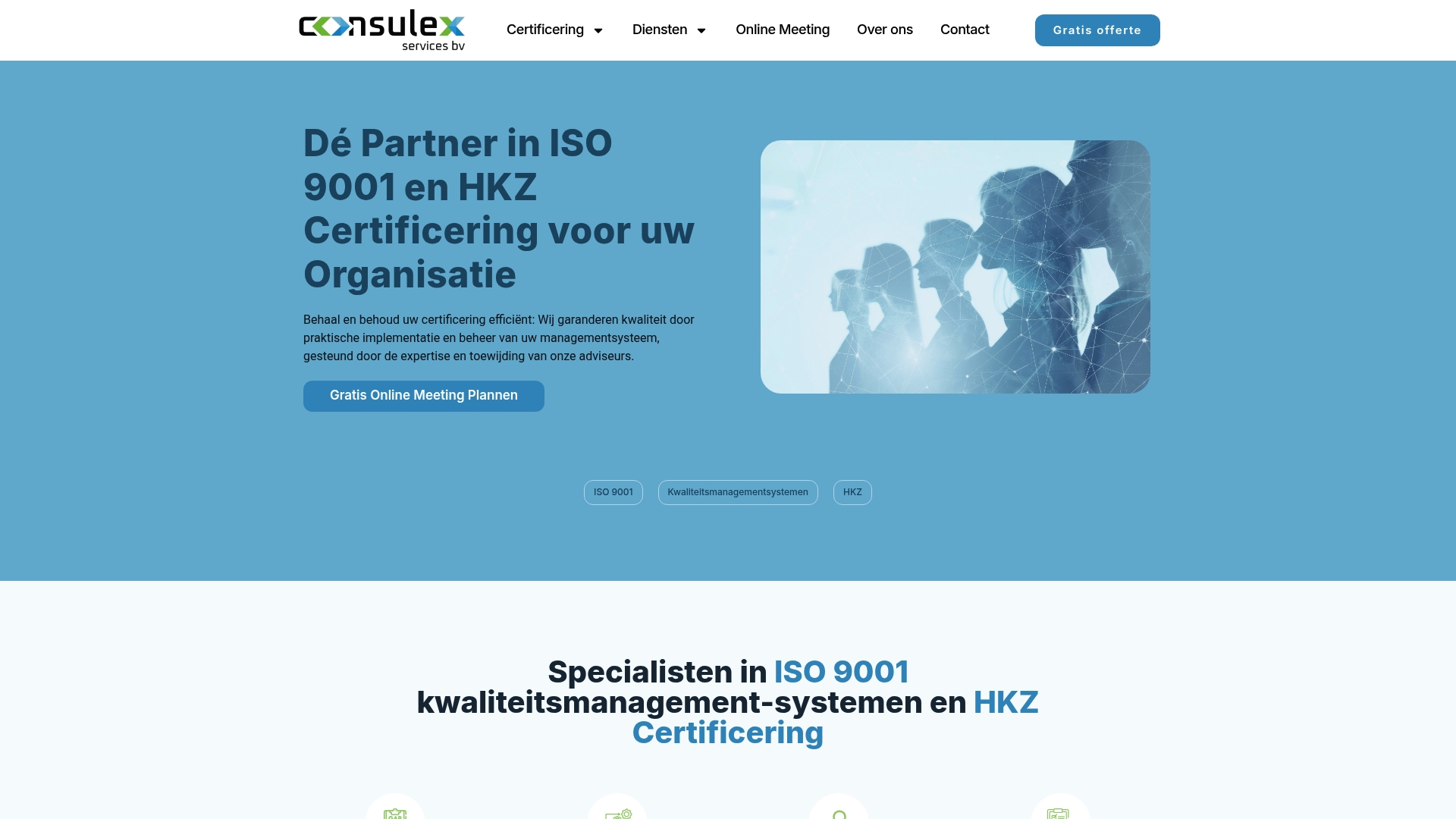 Consulexservices